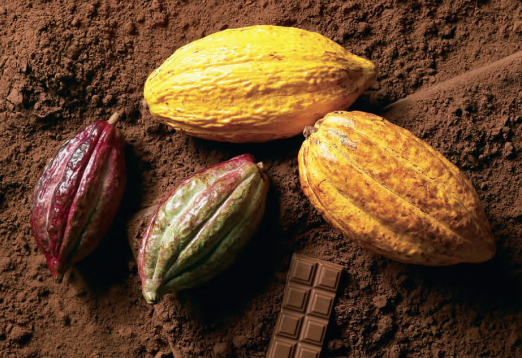raw-cacao-chocolate-making