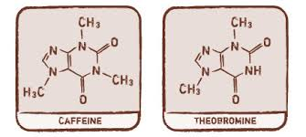 theobromine-molecule